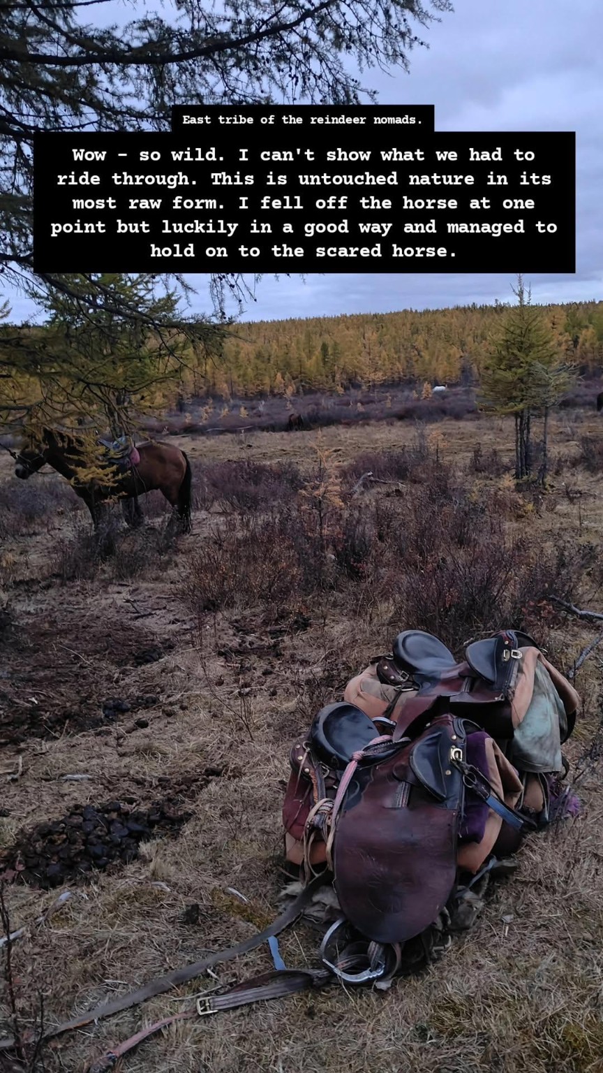 Saddles resting on the ground beside horses with a horseback field note over the image.