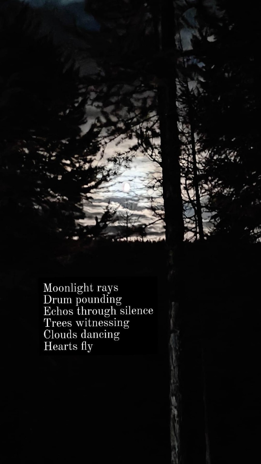 A bright moon seen through dark tree branches with the Moonlight poem layered over the night sky.